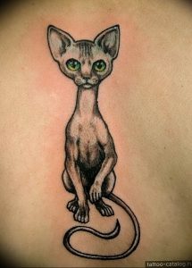 Фото рисунка тату кошка 09.10.2018 №300 - cat tattoo - tattoo-photo.ru
