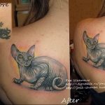 Фото рисунка тату кошка 09.10.2018 №312 - cat tattoo - tattoo-photo.ru