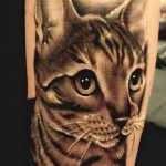 Фото рисунка тату кошка 09.10.2018 №319 - cat tattoo - tattoo-photo.ru