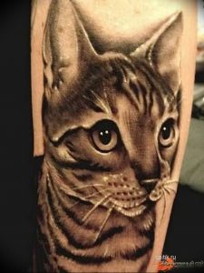 Фото рисунка тату кошка 09.10.2018 №319 - cat tattoo - tattoo-photo.ru