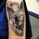 Фото рисунка тату кошка 09.10.2018 №321 - cat tattoo - tattoo-photo.ru