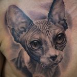 Фото рисунка тату кошка 09.10.2018 №324 - cat tattoo - tattoo-photo.ru