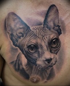 Фото рисунка тату кошка 09.10.2018 №324 - cat tattoo - tattoo-photo.ru