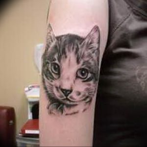 Фото рисунка тату кошка 09.10.2018 №326 - cat tattoo - tattoo-photo.ru