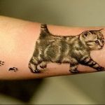 Фото рисунка тату кошка 09.10.2018 №339 - cat tattoo - tattoo-photo.ru