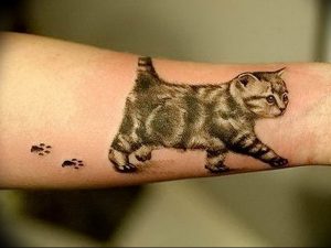 Фото рисунка тату кошка 09.10.2018 №339 - cat tattoo - tattoo-photo.ru