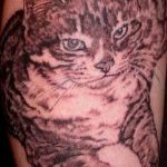 Фото рисунка тату кошка 09.10.2018 №341 - cat tattoo - tattoo-photo.ru