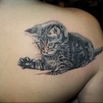 Фото рисунка тату кошка 09.10.2018 №347 - cat tattoo - tattoo-photo.ru