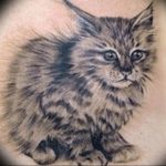 Фото рисунка тату кошка 09.10.2018 №369 - cat tattoo - tattoo-photo.ru