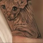 Фото рисунка тату кошка 09.10.2018 №384 - cat tattoo - tattoo-photo.ru