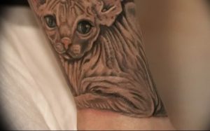 Фото рисунка тату кошка 09.10.2018 №384 - cat tattoo - tattoo-photo.ru