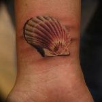 Фото рисунка тату ракушка 12.10.2018 №007 - tattoo shell - tattoo-photo.ru