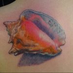 Фото рисунка тату ракушка 12.10.2018 №018 - tattoo shell - tattoo-photo.ru