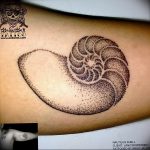 Фото рисунка тату ракушка 12.10.2018 №071 - tattoo shell - tattoo-photo.ru