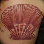 Фото рисунка тату ракушка 12.10.2018 №074 - tattoo shell - tattoo-photo.ru