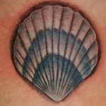 Фото рисунка тату ракушка 12.10.2018 №075 - tattoo shell - tattoo-photo.ru