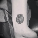 Фото рисунка тату ракушка 12.10.2018 №077 - tattoo shell - tattoo-photo.ru