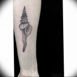 Фото рисунка тату ракушка 12.10.2018 №092 - tattoo shell - tattoo-photo.ru