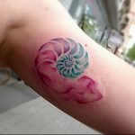 Фото рисунка тату ракушка 12.10.2018 №101 - tattoo shell - tattoo-photo.ru