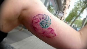 Фото рисунка тату ракушка 12.10.2018 №101 - tattoo shell - tattoo-photo.ru