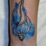 Фото рисунка тату ракушка 12.10.2018 №102 - tattoo shell - tattoo-photo.ru