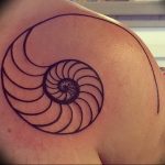 Фото рисунка тату ракушка 12.10.2018 №104 - tattoo shell - tattoo-photo.ru