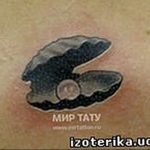 Фото рисунка тату ракушка 12.10.2018 №108 - tattoo shell - tattoo-photo.ru