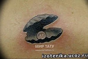 Фото рисунка тату ракушка 12.10.2018 №108 - tattoo shell - tattoo-photo.ru