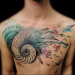 Фото рисунка тату ракушка 12.10.2018 №113 - tattoo shell - tattoo-photo.ru