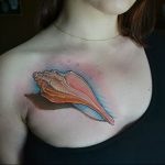 Фото рисунка тату ракушка 12.10.2018 №142 - tattoo shell - tattoo-photo.ru