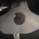 Фото рисунка тату ракушка 12.10.2018 №143 - tattoo shell - tattoo-photo.ru