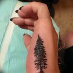 Фото рисунка тату сосна 11.10.2018 №008 - pine tattoo - tattoo-photo.ru