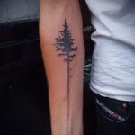 Фото рисунка тату сосна 11.10.2018 №010 - pine tattoo - tattoo-photo.ru