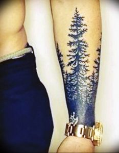 Фото рисунка тату сосна 11.10.2018 №011 - pine tattoo - tattoo-photo.ru
