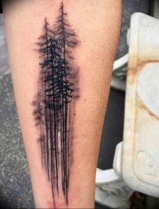 Фото рисунка тату сосна 11.10.2018 №012 - pine tattoo - tattoo-photo.ru