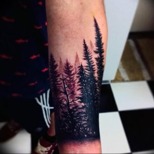 Фото рисунка тату сосна 11.10.2018 №013 - pine tattoo - tattoo-photo.ru