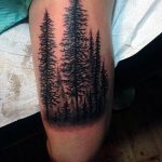 Фото рисунка тату сосна 11.10.2018 №014 - pine tattoo - tattoo-photo.ru