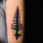 Фото рисунка тату сосна 11.10.2018 №016 - pine tattoo - tattoo-photo.ru