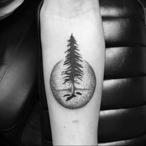 Фото рисунка тату сосна 11.10.2018 №018 - pine tattoo - tattoo-photo.ru