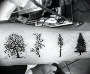 Фото рисунка тату сосна 11.10.2018 №023 - pine tattoo - tattoo-photo.ru