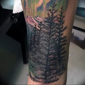 Фото рисунка тату сосна 11.10.2018 №025 - pine tattoo - tattoo-photo.ru