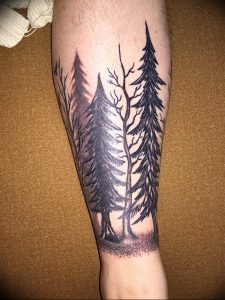 Фото рисунка тату сосна 11.10.2018 №028 - pine tattoo - tattoo-photo.ru