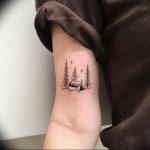 Фото рисунка тату сосна 11.10.2018 №029 - pine tattoo - tattoo-photo.ru