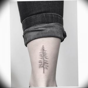 Фото рисунка тату сосна 11.10.2018 №031 - pine tattoo - tattoo-photo.ru