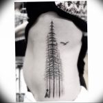 Фото рисунка тату сосна 11.10.2018 №033 - pine tattoo - tattoo-photo.ru