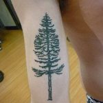 Фото рисунка тату сосна 11.10.2018 №036 - pine tattoo - tattoo-photo.ru