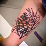 Фото рисунка тату сосна 11.10.2018 №038 - pine tattoo - tattoo-photo.ru