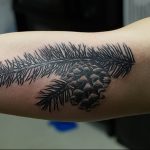 Фото рисунка тату сосна 11.10.2018 №045 - pine tattoo - tattoo-photo.ru