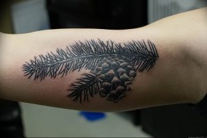 Фото рисунка тату сосна 11.10.2018 №045 - pine tattoo - tattoo-photo.ru