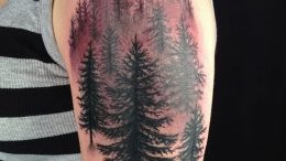 Фото рисунка тату сосна 11.10.2018 №049 - pine tattoo - tattoo-photo.ru